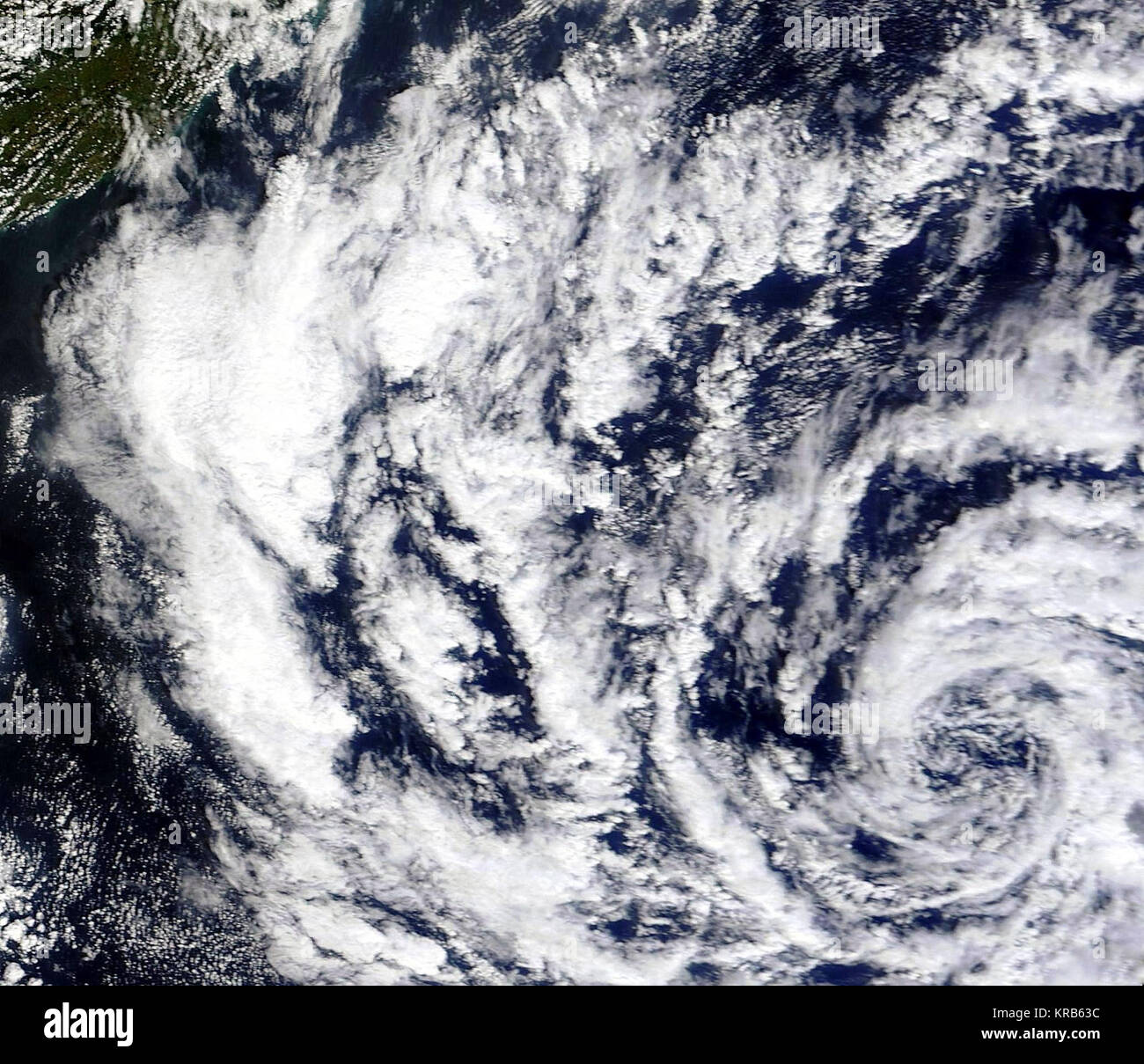 BOB03 19.November 2012 Stockfoto