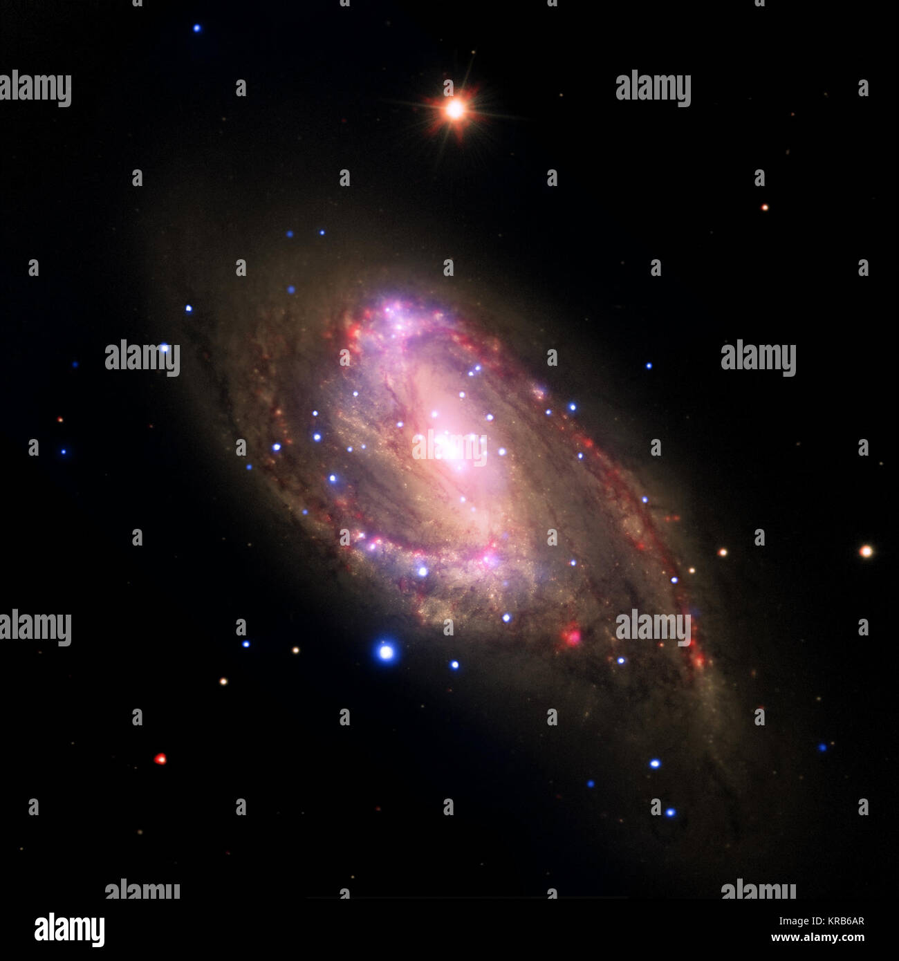 Die Spiralgalaxie NGC 3627 befindet sich etwa 30 Millionen Lichtjahre von der Erde entfernt. Das zusammengesetzte Bild beinhaltet X-ray Daten von der NASA Chandra X-ray Observatory (blau), Infrarot Daten aus dem Spitzer Space Telescope (rot) und optischen Daten das Hubble-weltraumteleskop und das Very Large Telescope (gelb). Die Inset zeigt die zentrale Region, die eine helle Röntgenquelle, die wahrscheinlich durch Material auf ein supermassives Schwarzes Loch mit Strom versorgt wird. Mit der Archivierung von Daten vorheriger Chandra Beobachtungen einer Stichprobe von 62 Galaxien Suche hat gezeigt, dass 37 der Galaxien, einschließlich Stockfoto