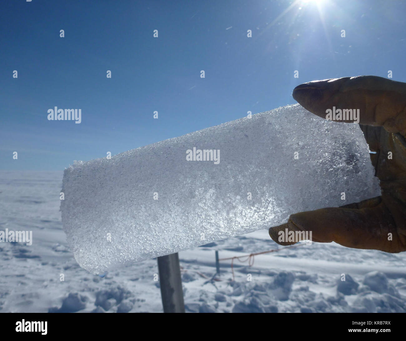 Ein eiskern Segment Stockfoto