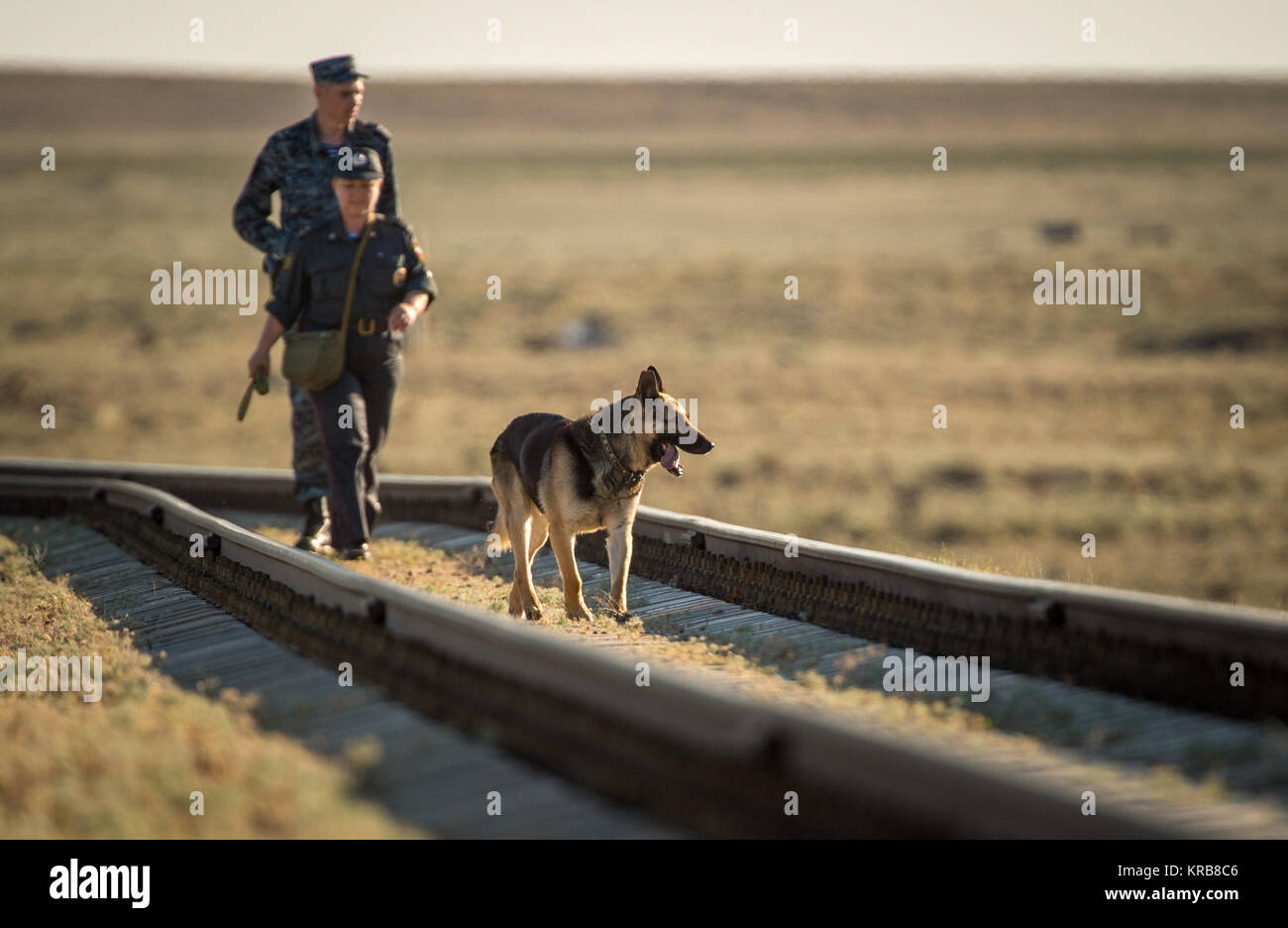 Kasachischer hund -Fotos und -Bildmaterial in hoher Auflösung – Alamy