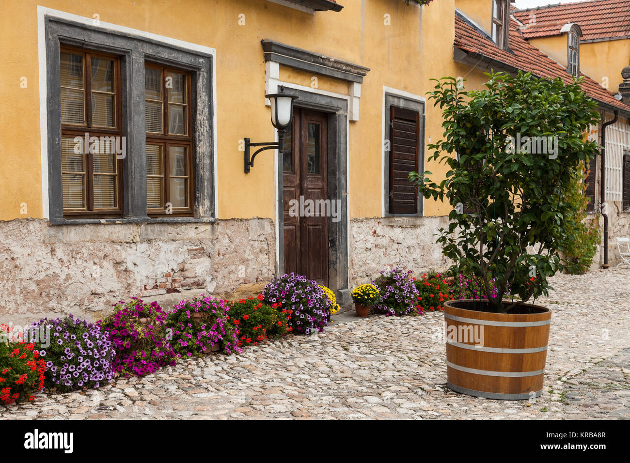 Schloss Heidecksburg Stockfoto