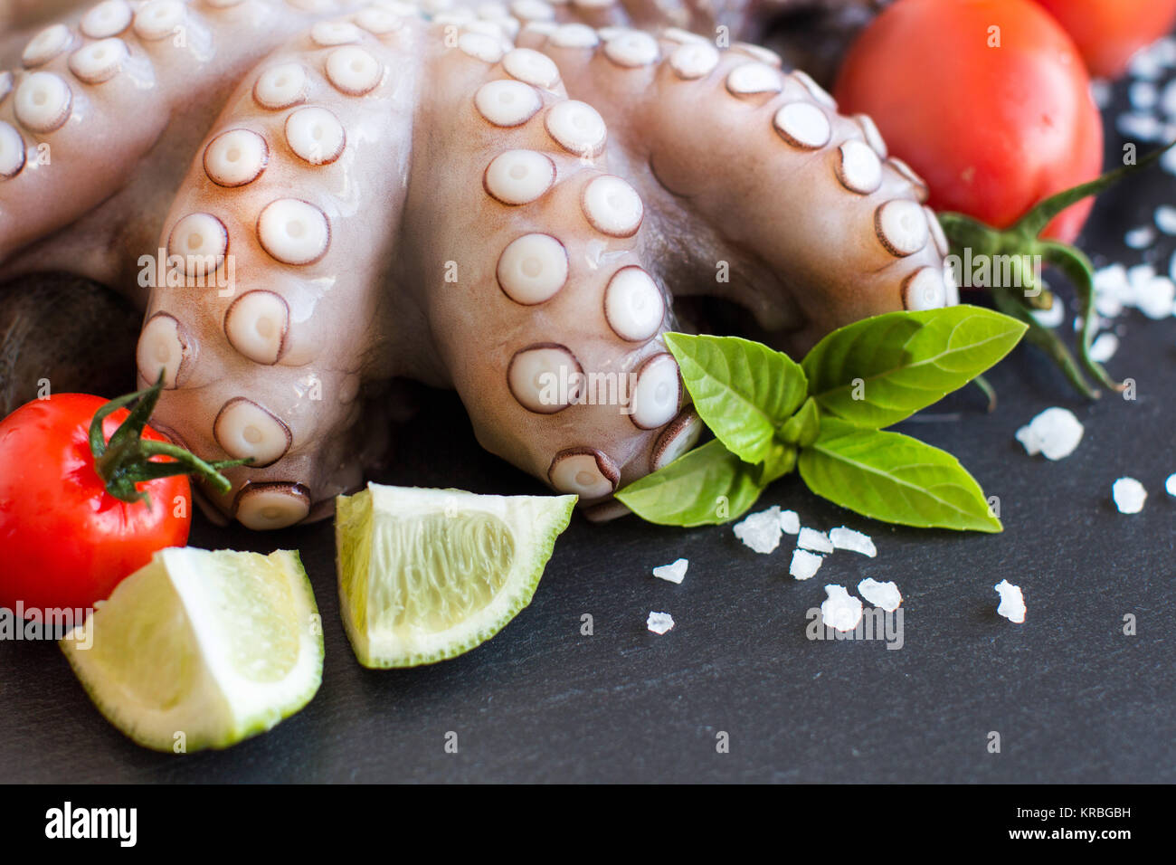 Rohen Tintenfisch mit Kalk, Tomaten und Basilikum Stockfoto