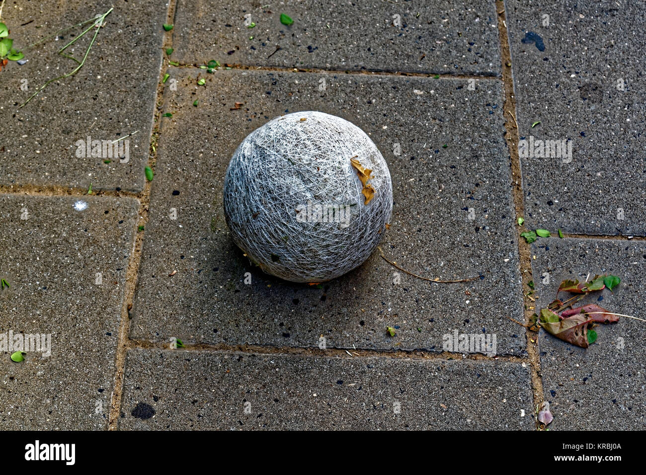 Schmutzig weiß Garn Kugel mit Blättern, die auf der Straße mit einem grauen Boden Stockfoto