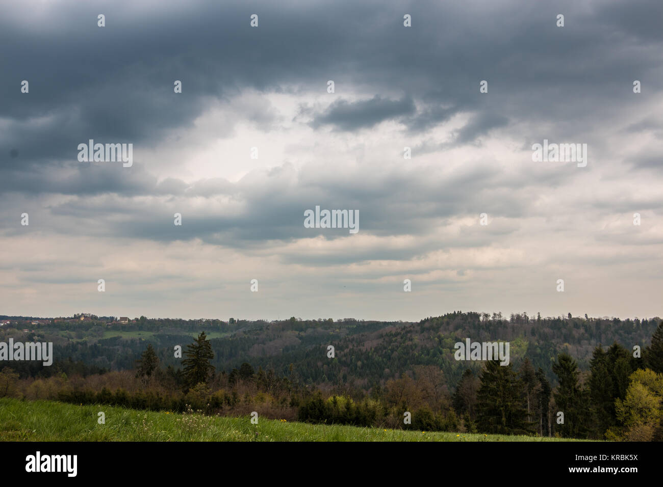 Dramatische Himmel, Wald, Felder und weiße und graue Wolken Stockfoto