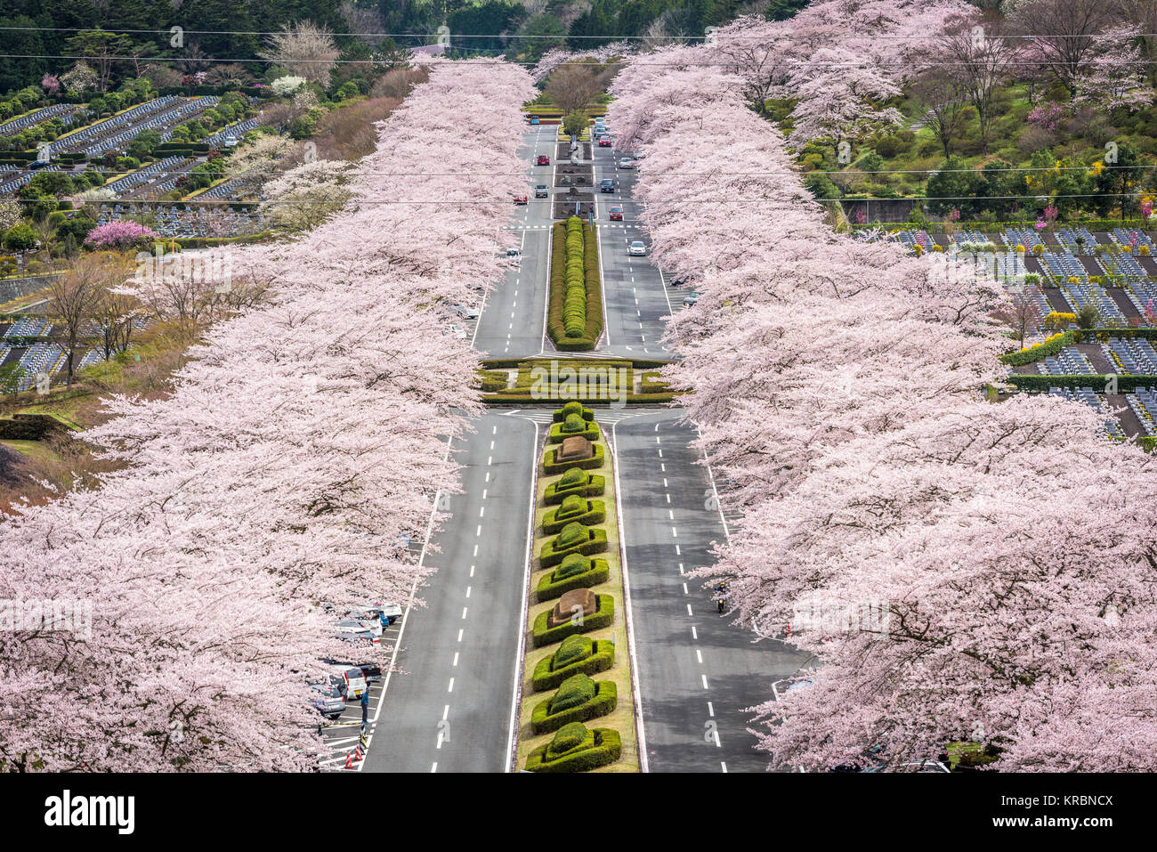 Fuji Reien Friedhof, Shizuoka, Japan im Frühjahr. Stockfoto