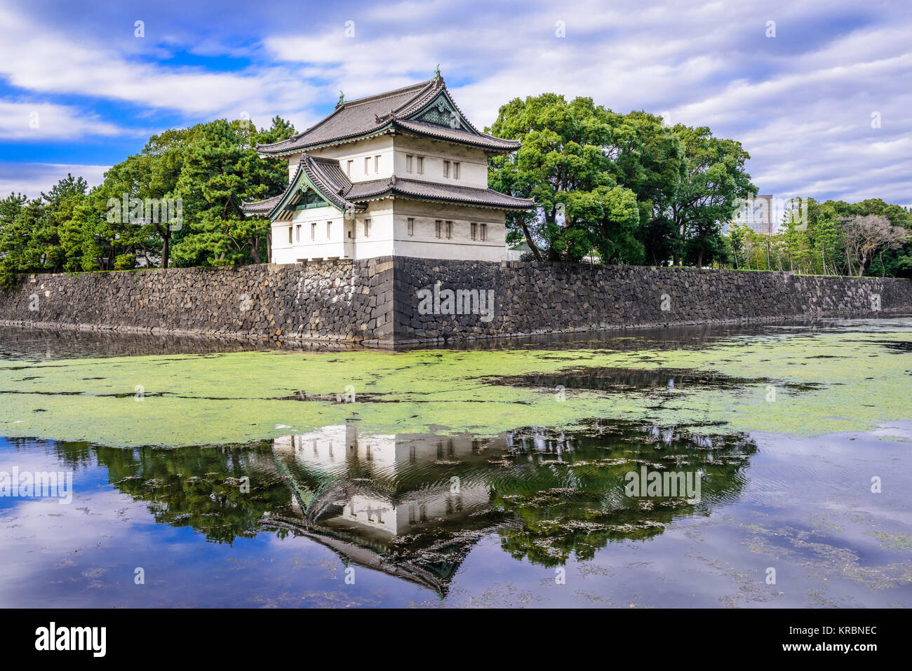 Tokio, Japan im Imperial Palace Wassergraben. Stockfoto