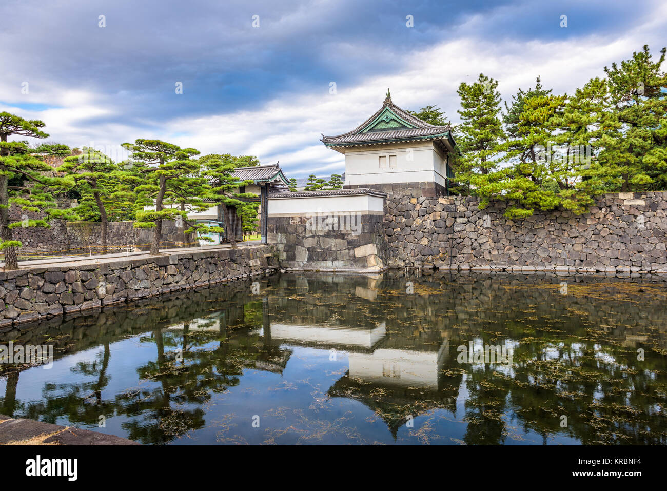 Tokio, Japan im Imperial Palace Wassergraben. Stockfoto