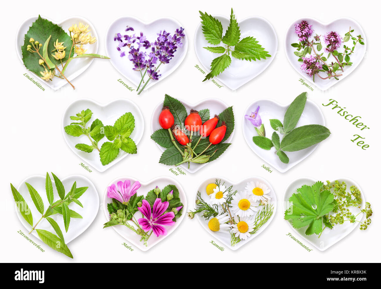 Ernte frische Kräuter und Früchte Stockfoto