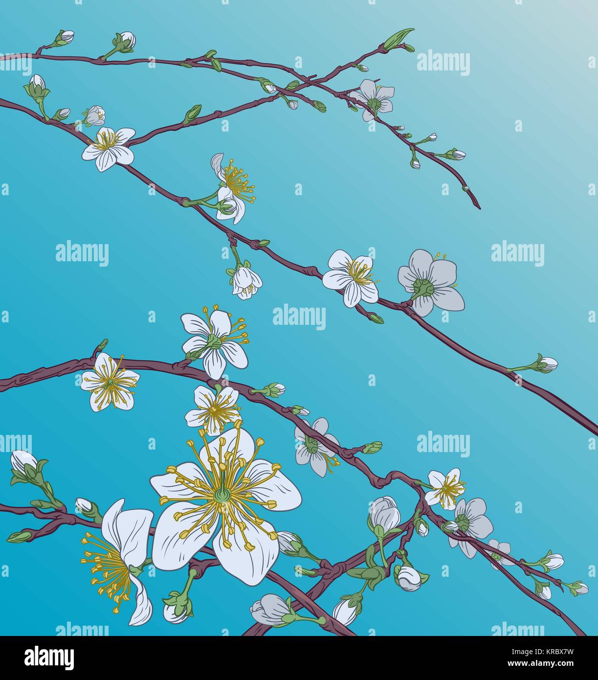 Pfirsich Cherry Blossom Flowers Background Pattern Stock Vektor