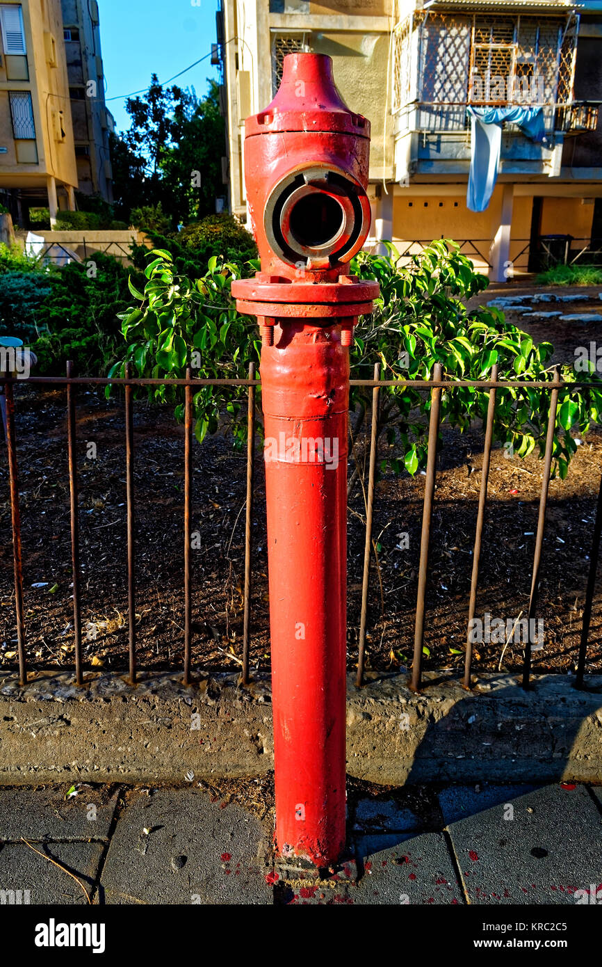 Red Fire Hydrant mit einem grauen Anschlusspunkt. Auf der Straße. Mit einem Zaun und einer Bush dahinter. Es ist alt. Es hat große Schrauben der oberen Top Stockfoto