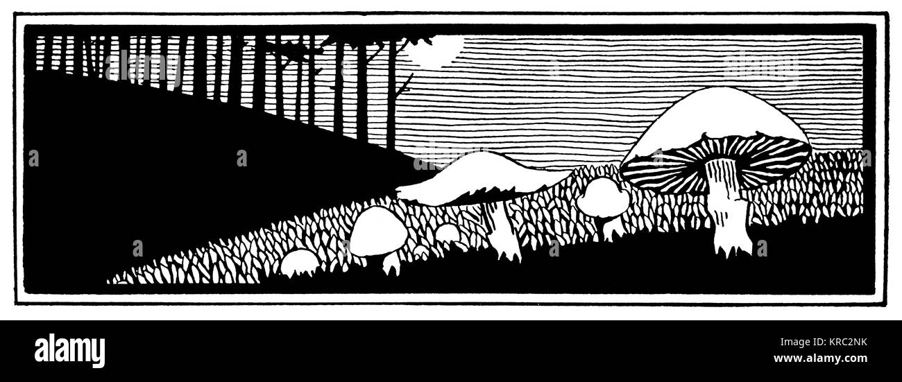 Kranke 539 Feder und Tinte Zierpflanzen Kapitel Bezeichnung Design, von H C Graff, vom Studio Magazin Wettbewerb 1894 Stockfoto