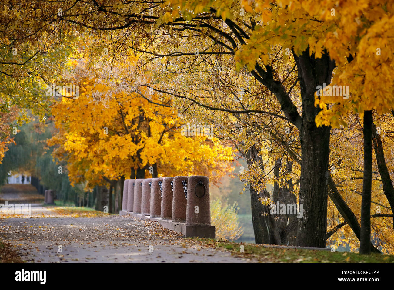 Herbst Oktober bunte Park. Laub Bäume Gasse Stockfoto