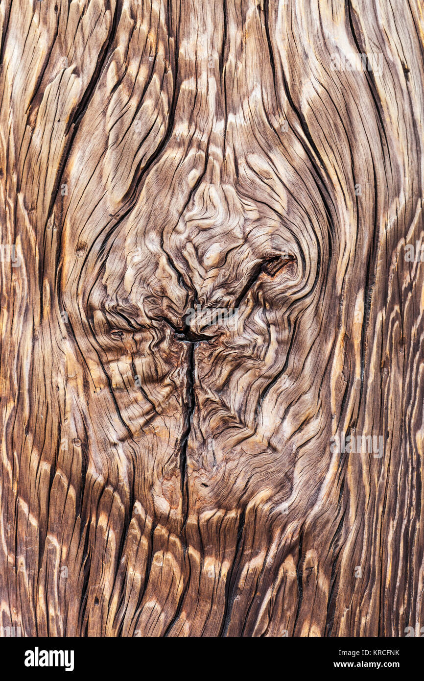 Holz Textur Hintergrund. Stockfoto