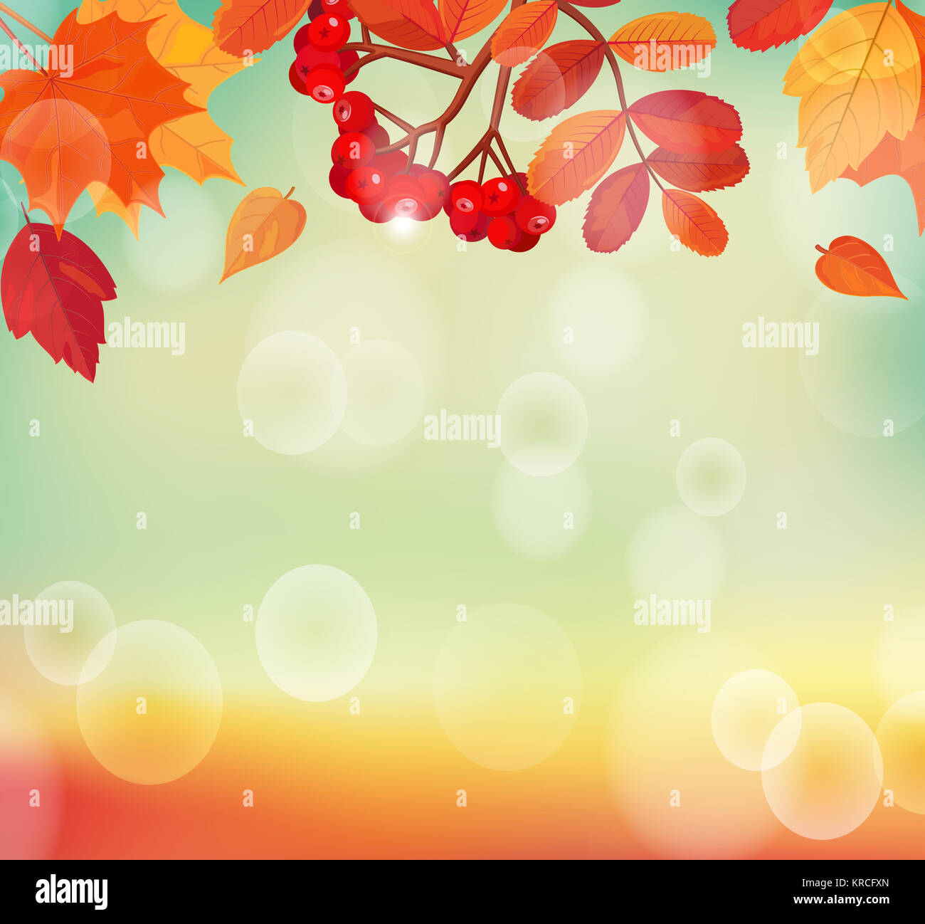 Herbst Hintergrund mit bunten Blättern und Rowan. Stockfoto