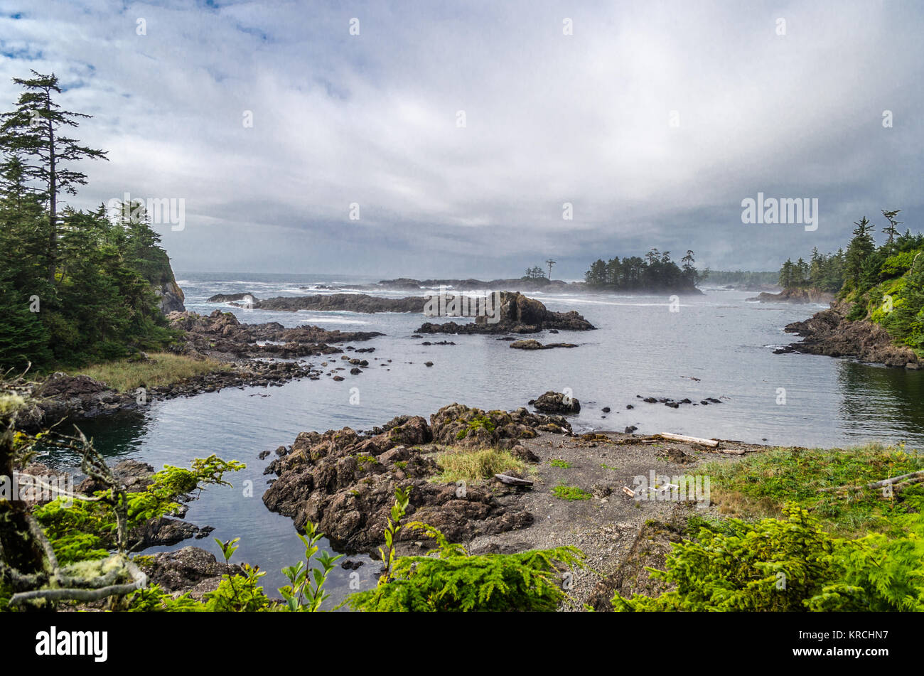 Wild Pacific Trail, Ucluelet, vacouver Island, Kanada Stockfoto