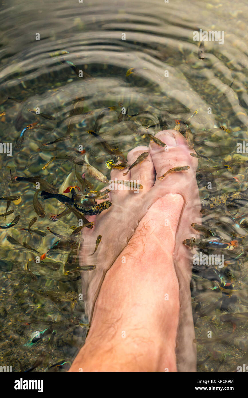 Viel Fisch essen tot Schuppen von den Füßen Stockfoto