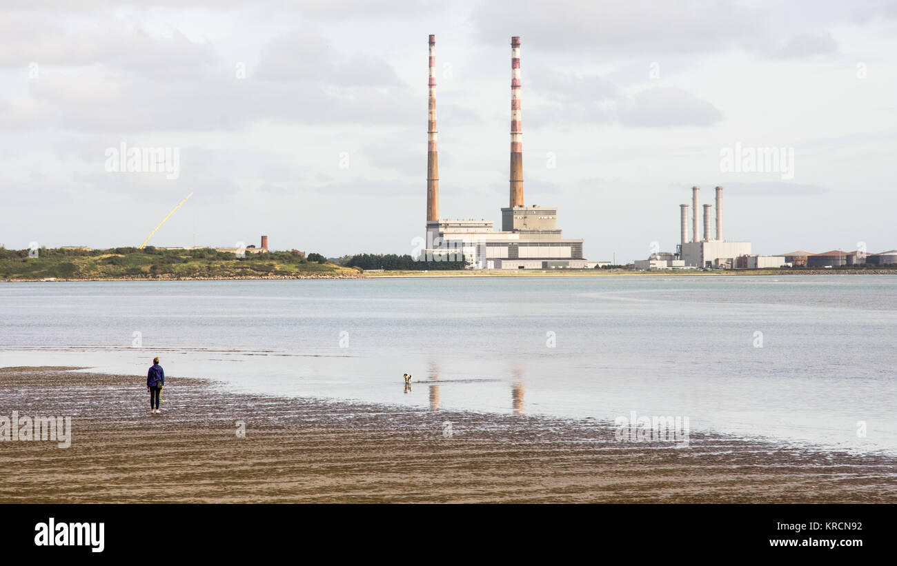 Eine Person und ihre Hund Spaziergang entlang Sandymount Strand Strand in der Bucht von Dublin, mit dem Wahrzeichen twin Schornsteine von poolbeg Power Station steigen in den distan Stockfoto