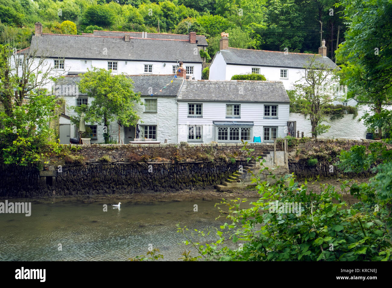 Idyllische Wohnungen neben den Waters Edge im Helford Dorf am Helford River, Cornwall, Großbritannien Stockfoto