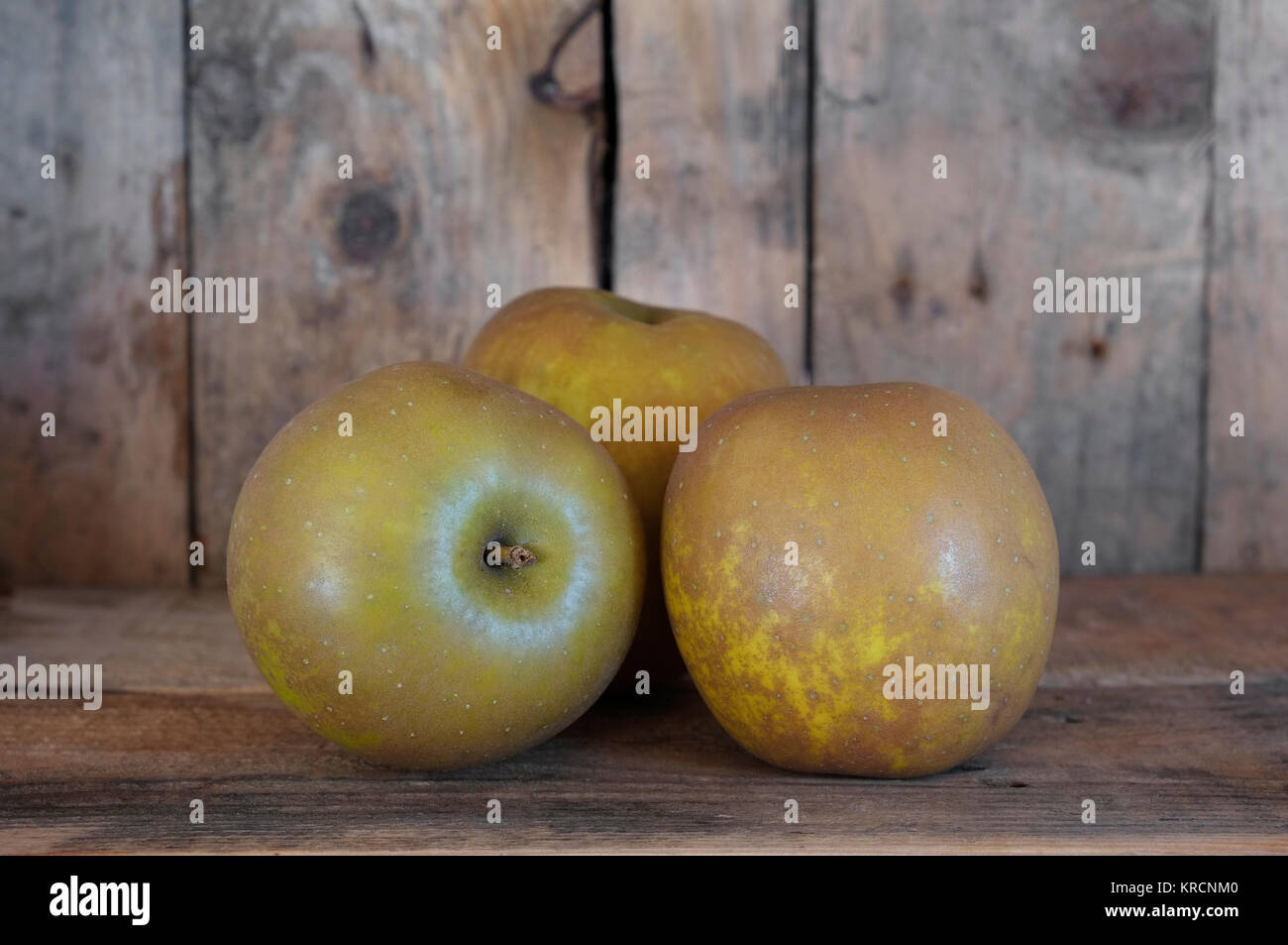 Egremont rotbraun Äpfel mit Holz Hintergrund Stockfoto