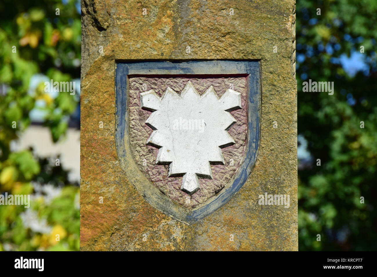 schaumburger Brennnesselblatt Stockfoto