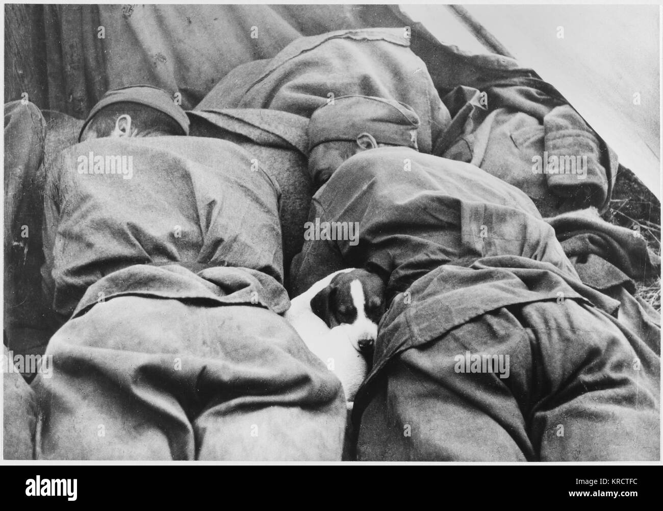 RUSSISCHER SOLDAT UND HUND Stockfoto