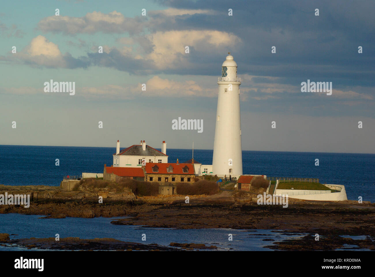 St. Marys Island und Leuchtturm vor der Küste in Hartley, Seaton Sluice, nahe der Mündung des Tyne River, Nordostengland Stockfoto