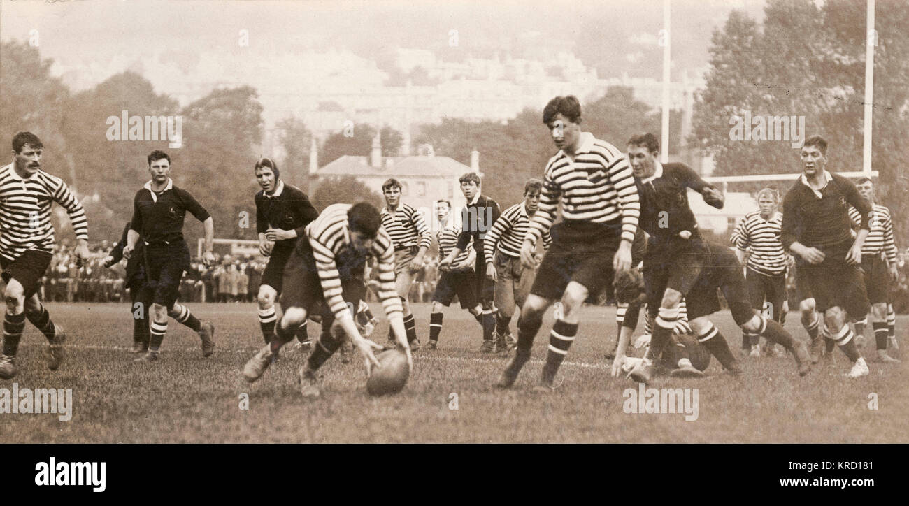 Rugby-Spiel, Südafrika gegen Somerset Stockfoto