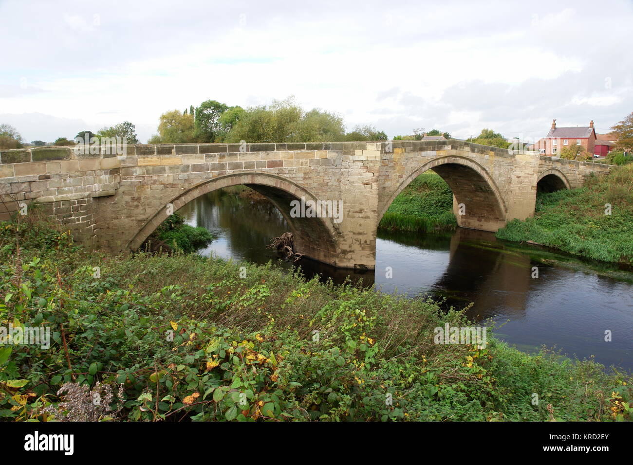 Brücke am Cattal über den Fluss Nidd (ein Nebenfluss des Ouse), nahe Knaresborough, North Yorkshire. Stockfoto