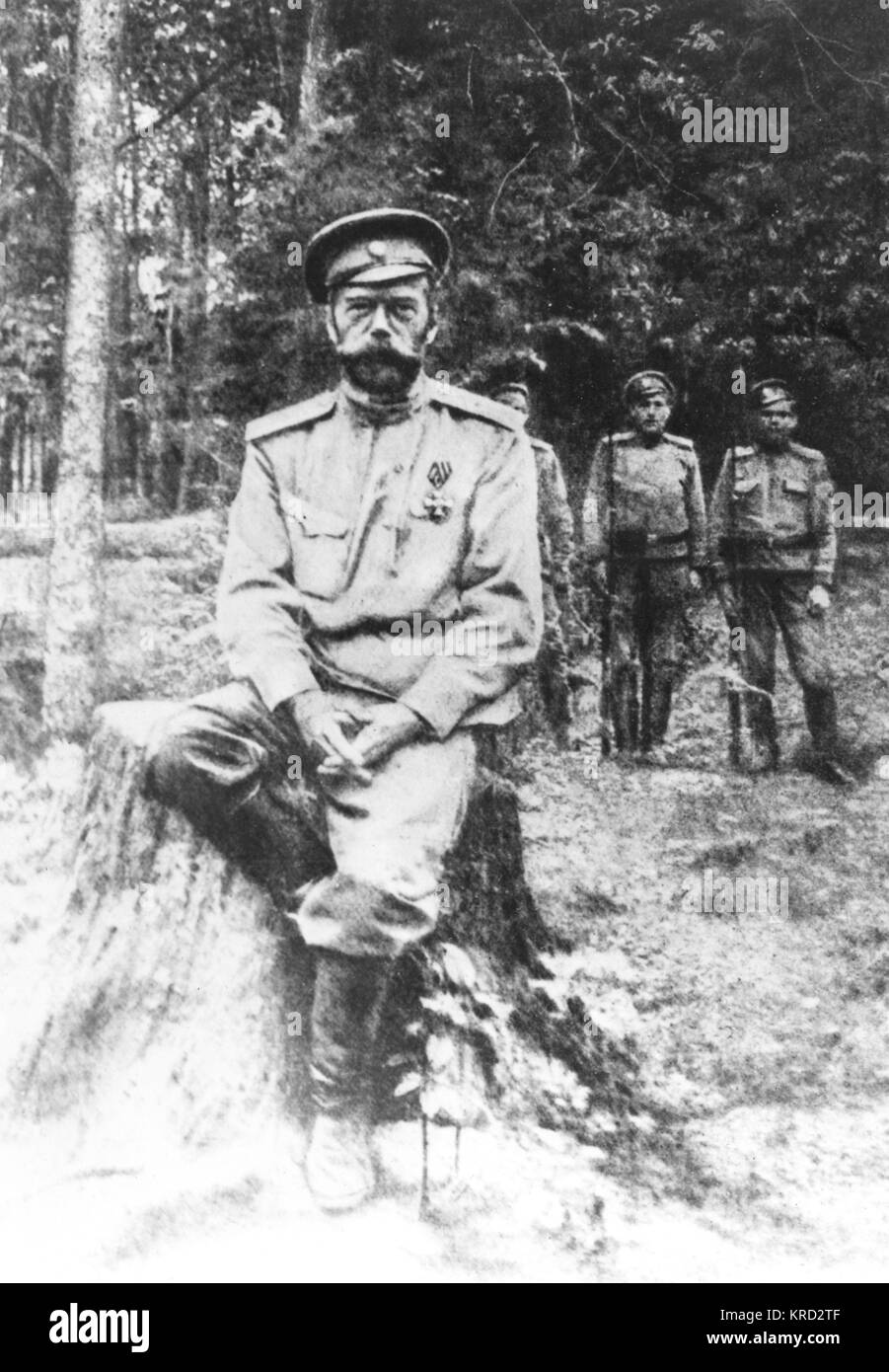 Nicholas II. Von Russland wurde gefangen gehalten Stockfoto