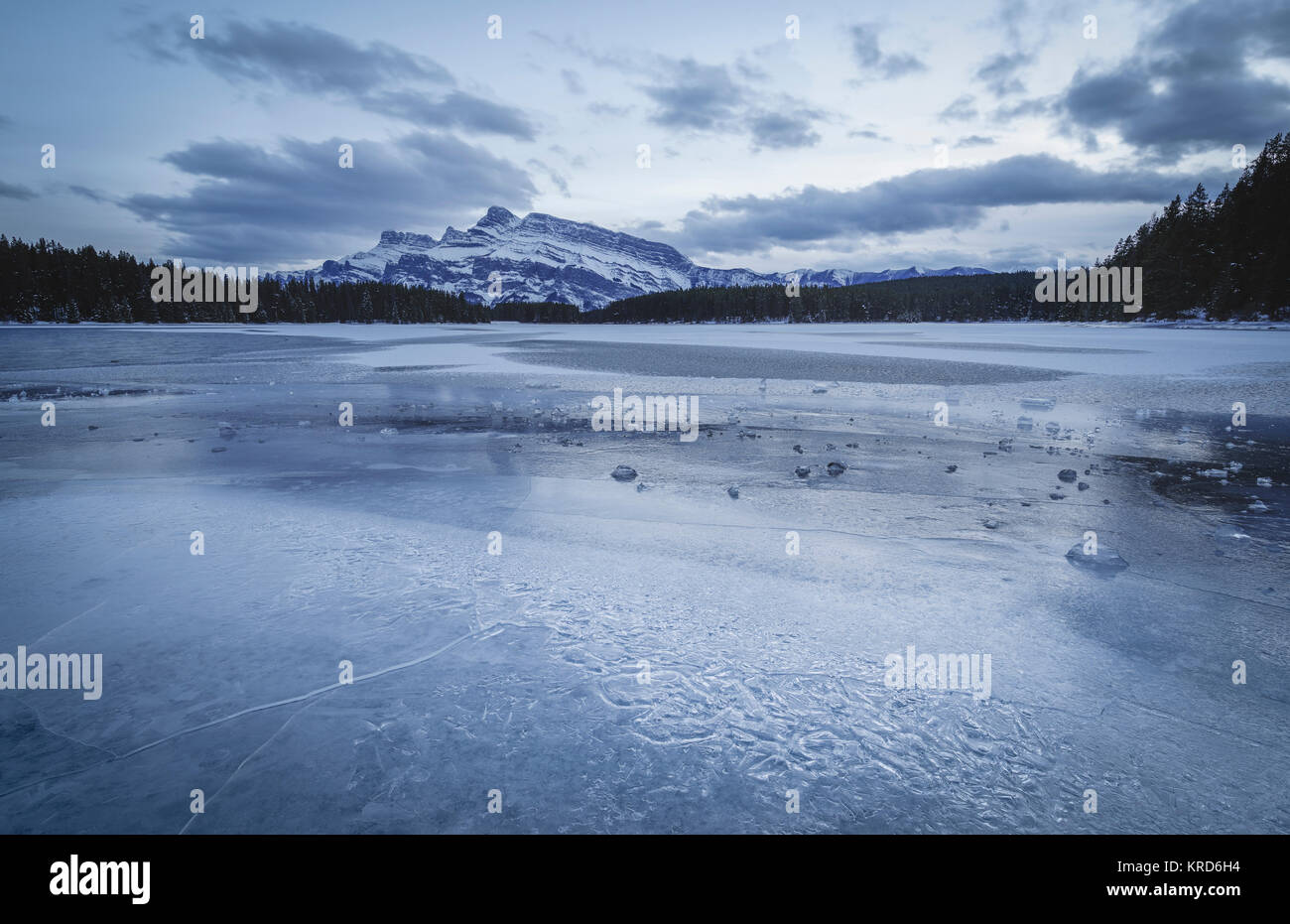 Winterlandschaft im Banff National Park Stockfoto