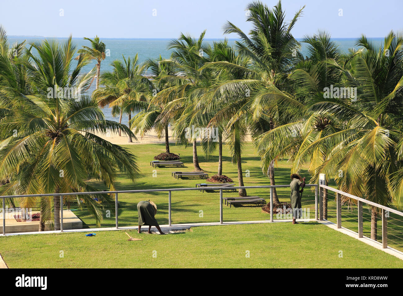 Amaya Beach Resort &amp; Spa Hotel, Pasikudah Bay, Eastern Province, Sri Lanka, Asien Mitarbeiter tendenziell Sedum Rasen Dachgarten Stockfoto