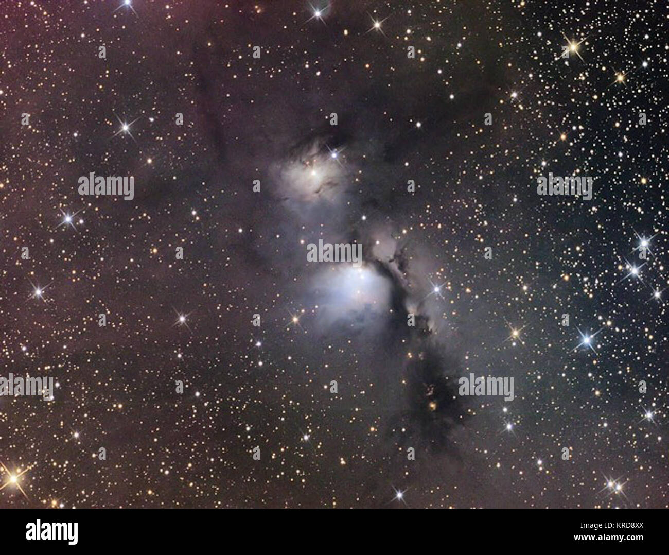 Interstellare Staubwolken in der Konstellation Orion Stockfoto