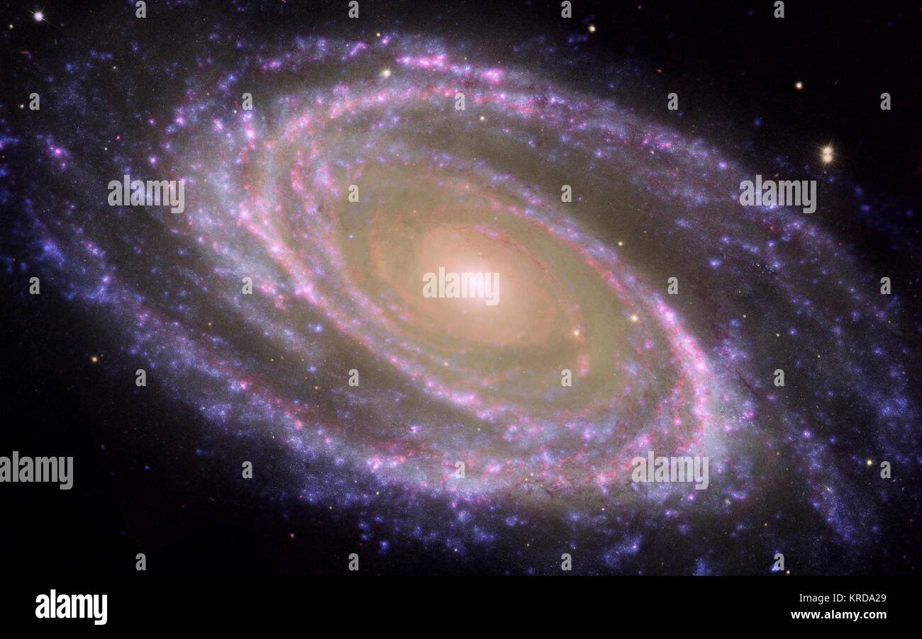 M81 Galaxy ist Pretty in Pink Stockfoto