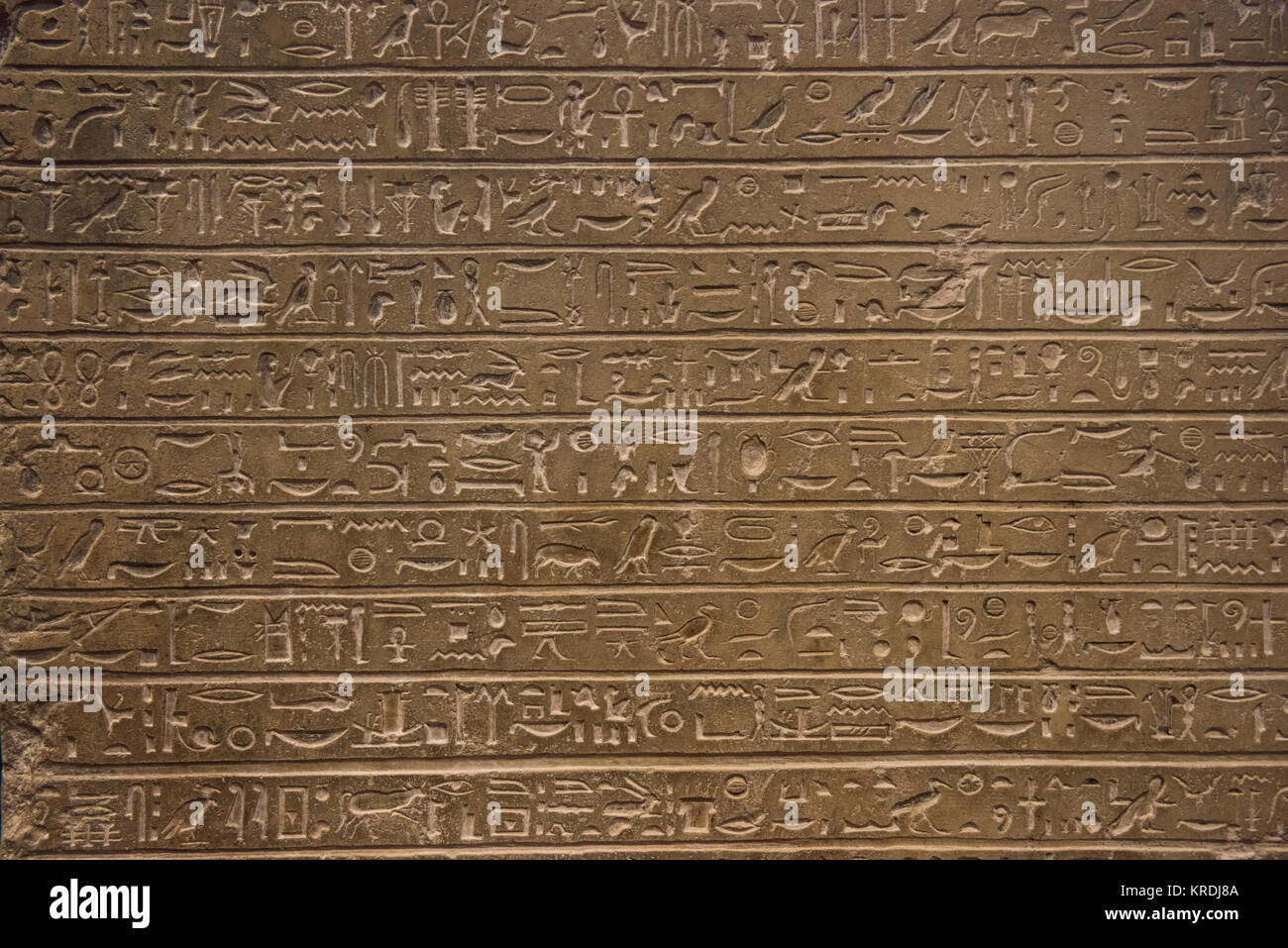 Ägyptische Hieroglyphen Stockfoto