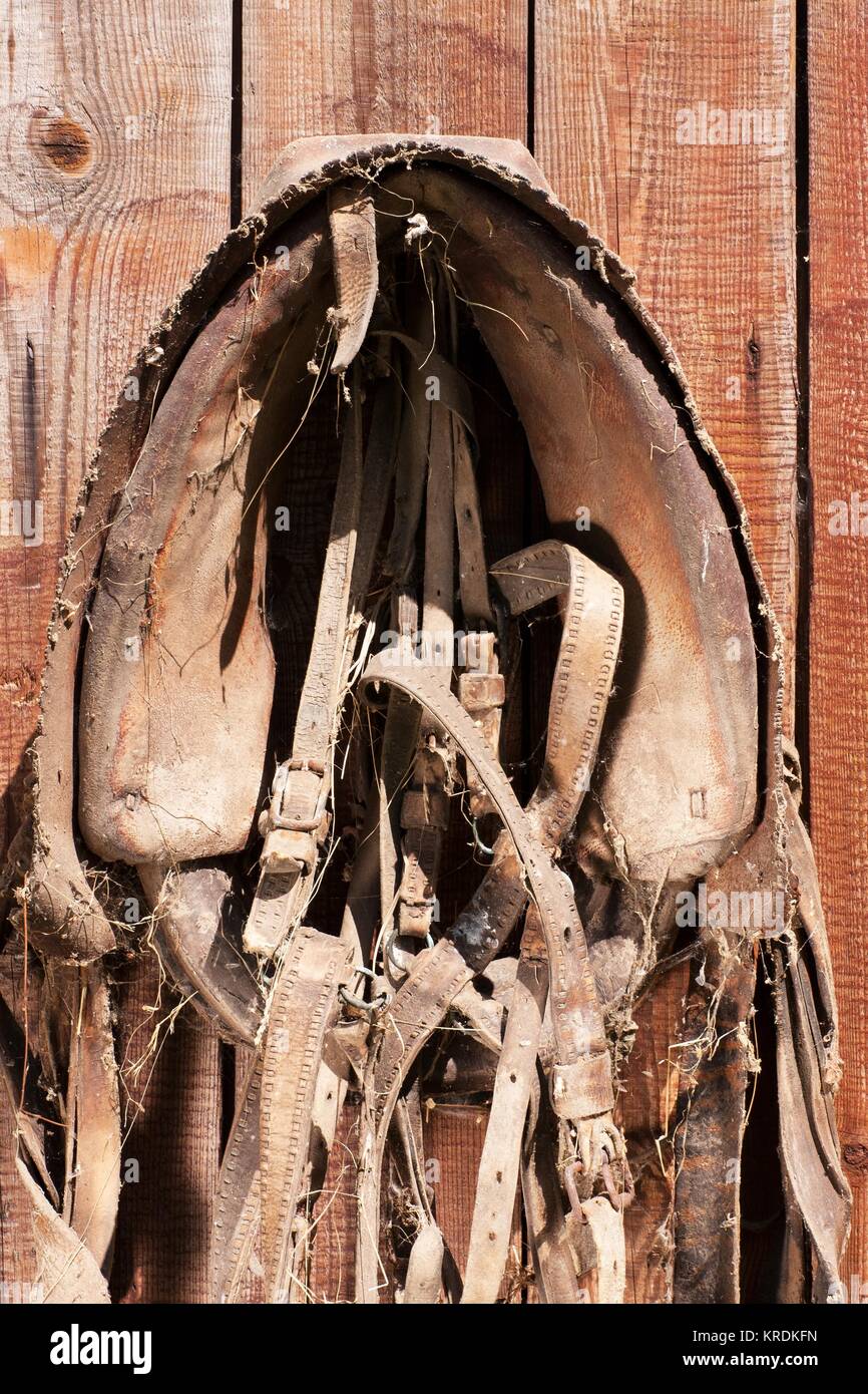 Hängende altes Pferd Kabelbaum 2 Stockfoto