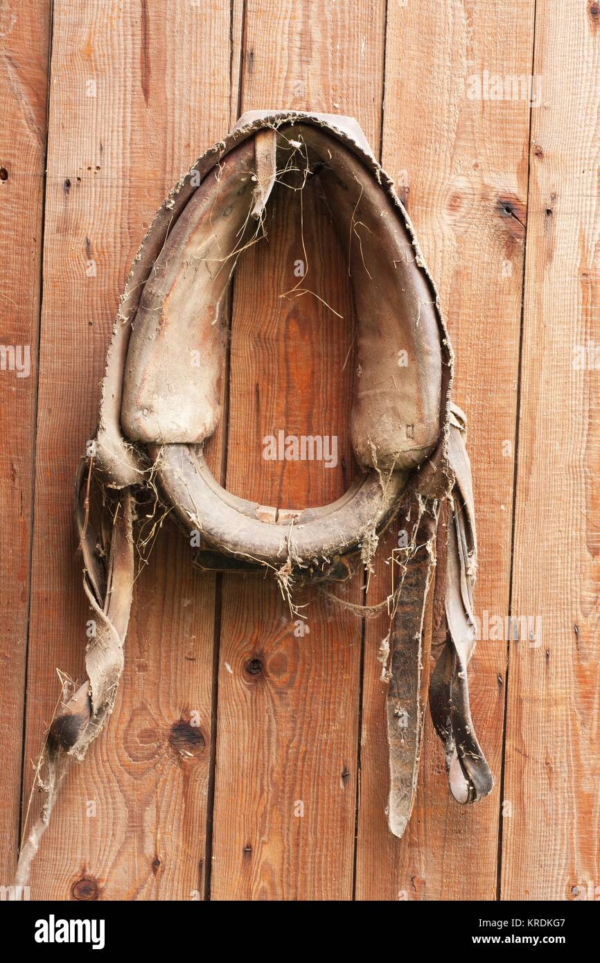 Hängende altes Pferd Kabelbaum 1 Stockfoto