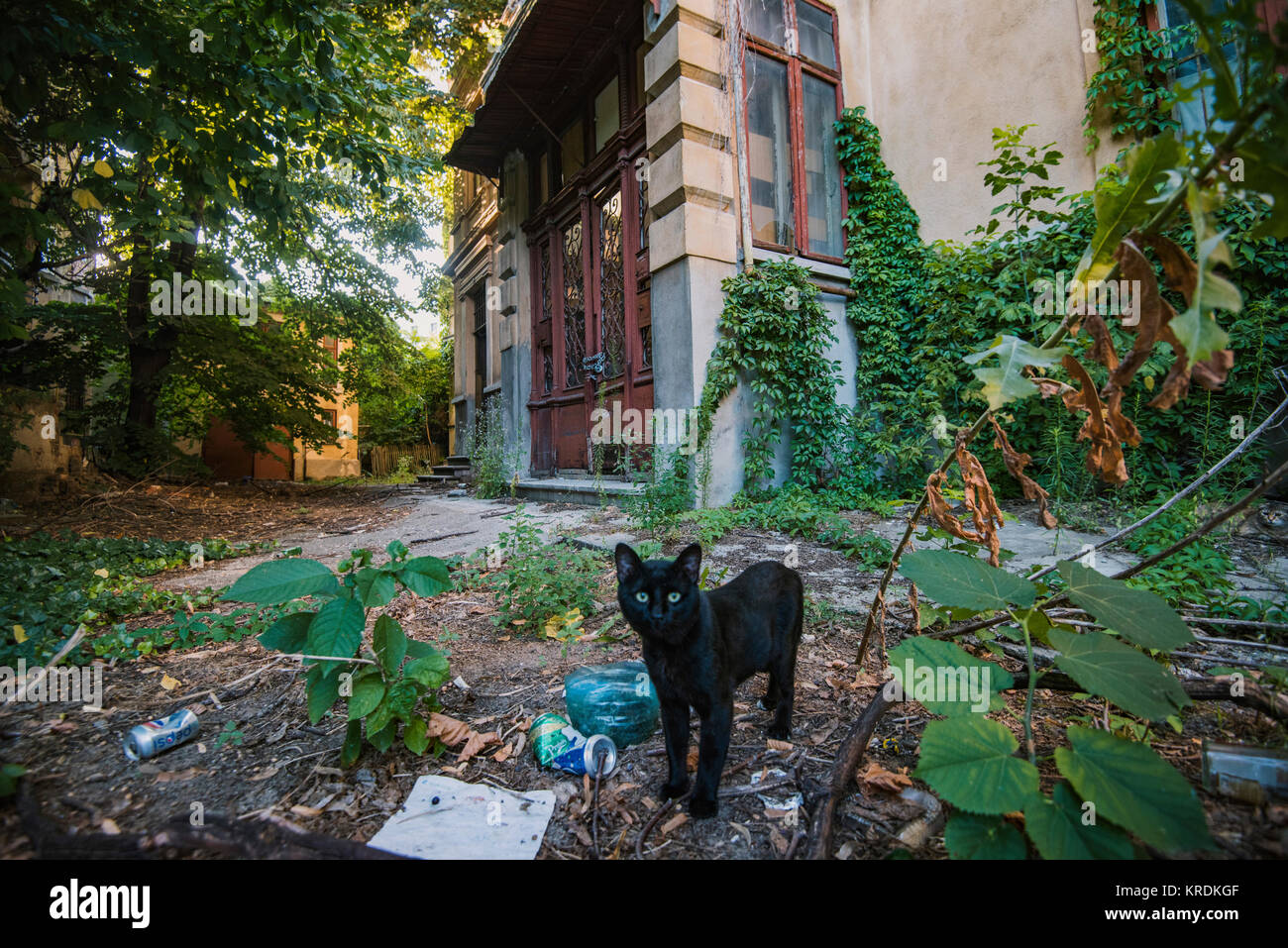 Verlassene alte Gebäude in Bukarest mit wertvollen Architektur Stockfoto