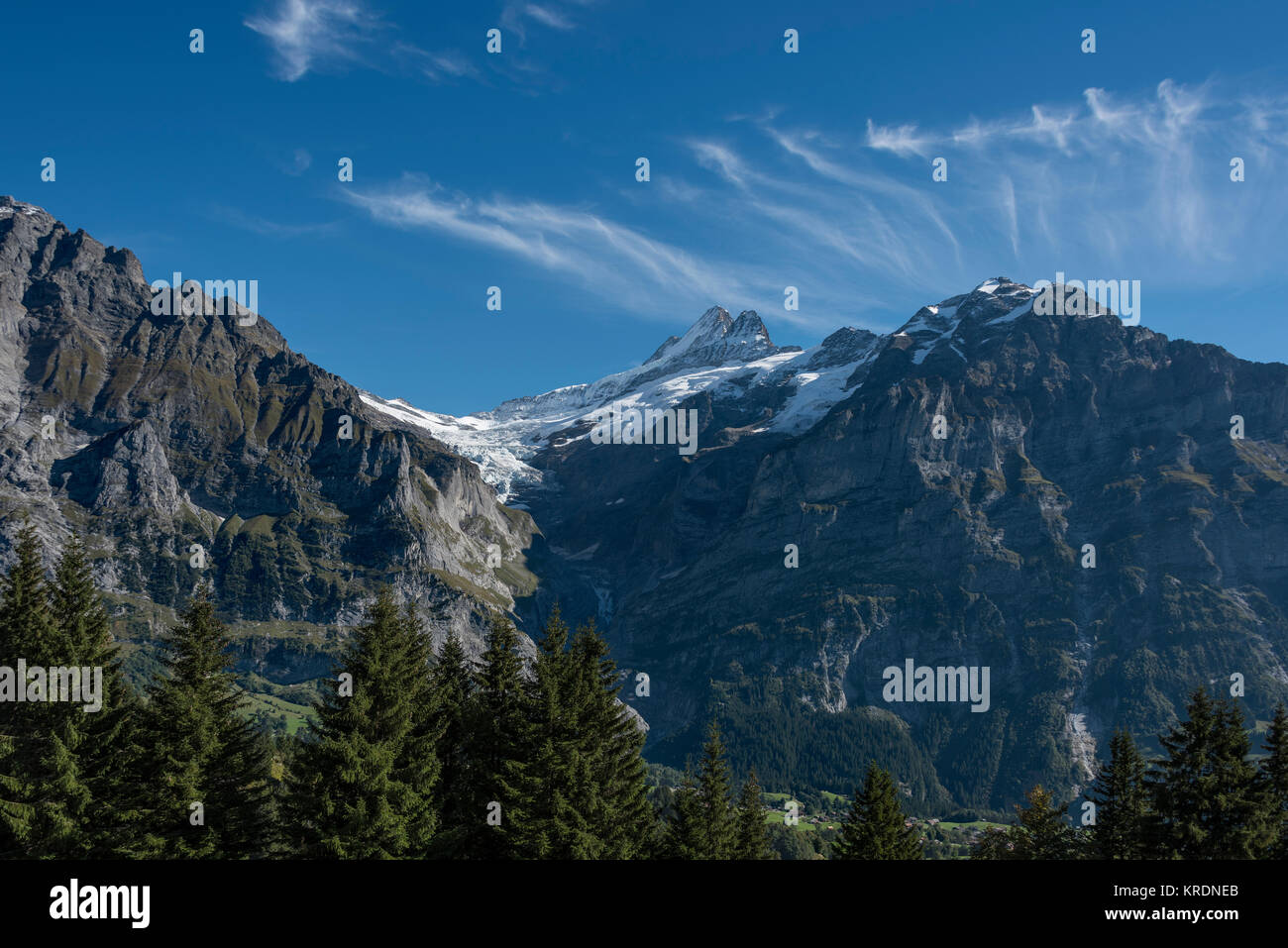 Schreckhorn Stockfoto