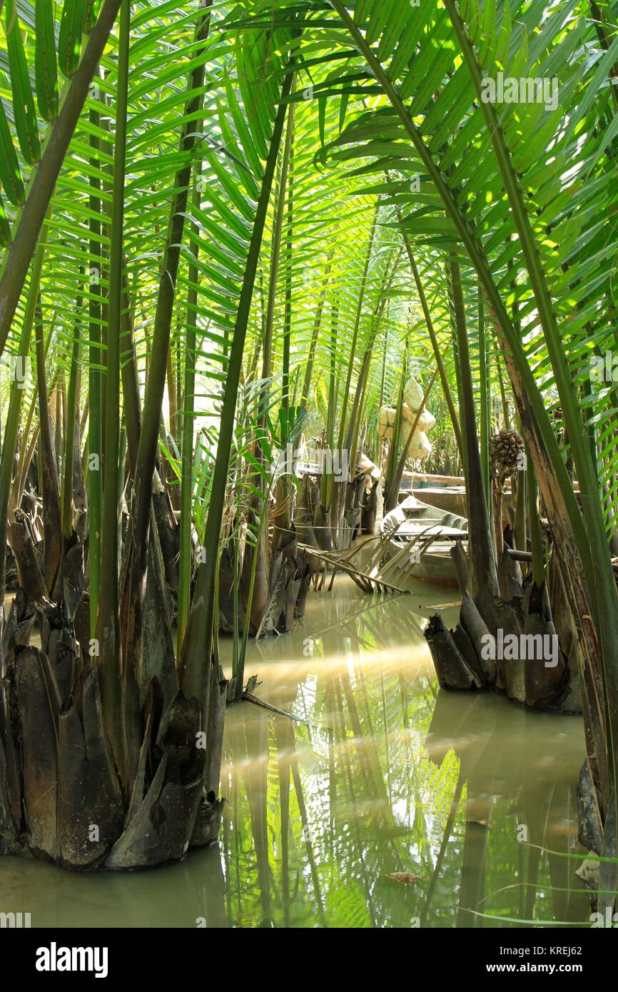 Palm Fenster auf dem Thu Bon Fluss in der Nähe von Hoi An, Vietnam Stockfoto