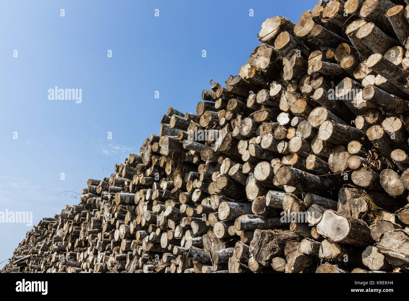 Große Haufen von Stückholz Stockfoto