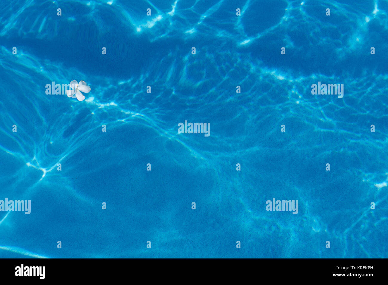Textur von Blau und klares Wasser im Schwimmbad Stockfoto