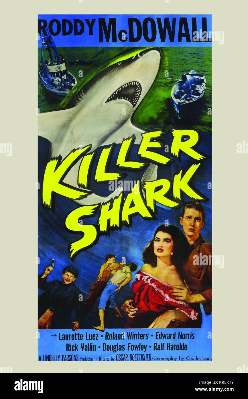 Killer Shark Stockfoto