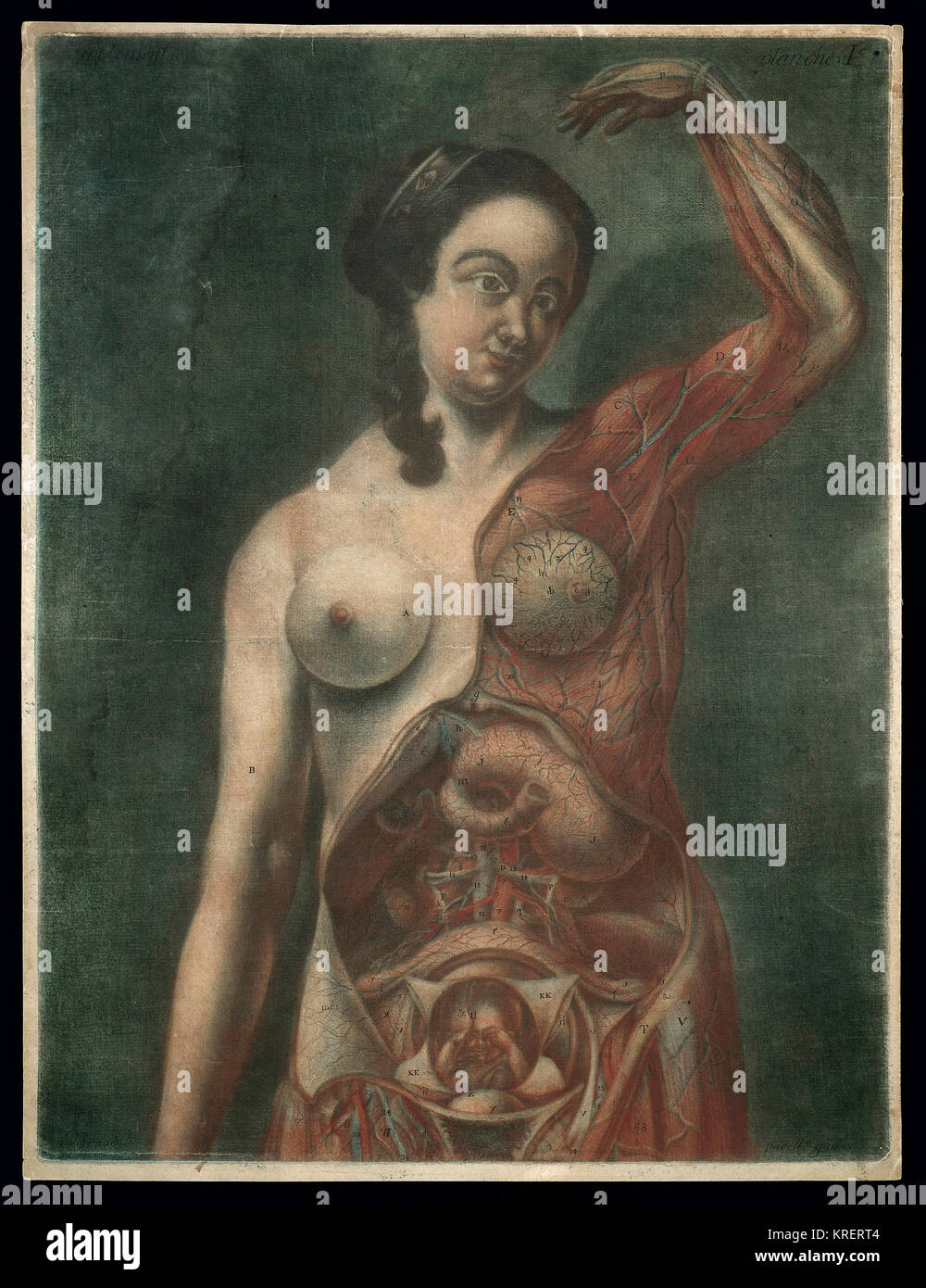 L 0036026 Anatomische Illustration, schwangere Frau, Dagoty 18 C Credit: Wellcome Library, London. Wellcome Images images@wellcome.ac.uk Http://wellcomeimages.org eine schwangere Frau mit der linken Seite Ihres Oberkörpers und Eingeweide ausgesetzt, ihren linken Arm über den Kopf angehoben. Möglicherweise Platte: Gautier d'Agoty, Exposition anatomique, Marseille, Paris und Amsterdam 1759 Schabkunst mit Radierung 1759 Von: Gautier DagotyPublished: [1759?] Urheberrechtlich geschützte Werke unter der Creative Commons Attribution verfügbar nur Lizenz CC BY 4.0 Http://creativecommons.org/licenses/by/4.0/ Stockfoto
