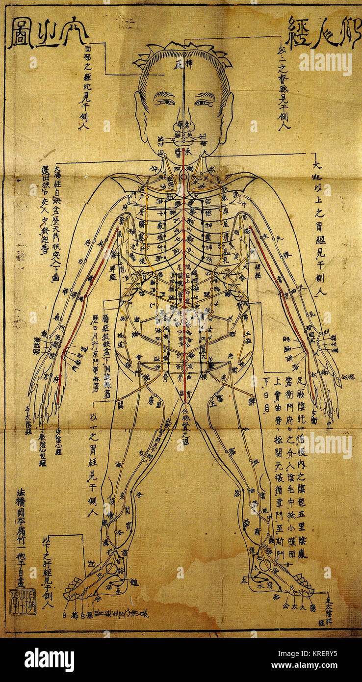 Chinesische Akupunktur Diagramm gedruckt in Japan Stockfotografie Alamy