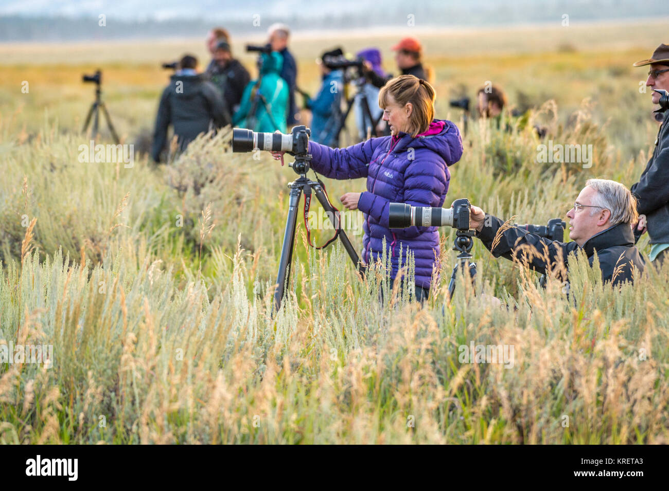 Weibliche und männliche Fotografen stehen in hohen Gräsern prüfen ihre Kameras, Stative, Grand Tetons National Park, Teton County, Wyoming Stockfoto