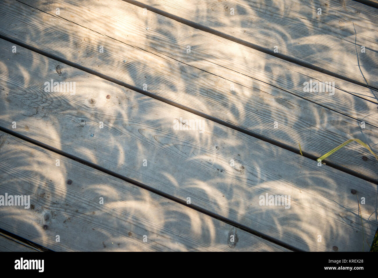 Sichelförmige Schatten von Sonnenfinsternis auf einer Holzterrasse, Grand Tetons National Park, Teton County, Wyoming Stockfoto