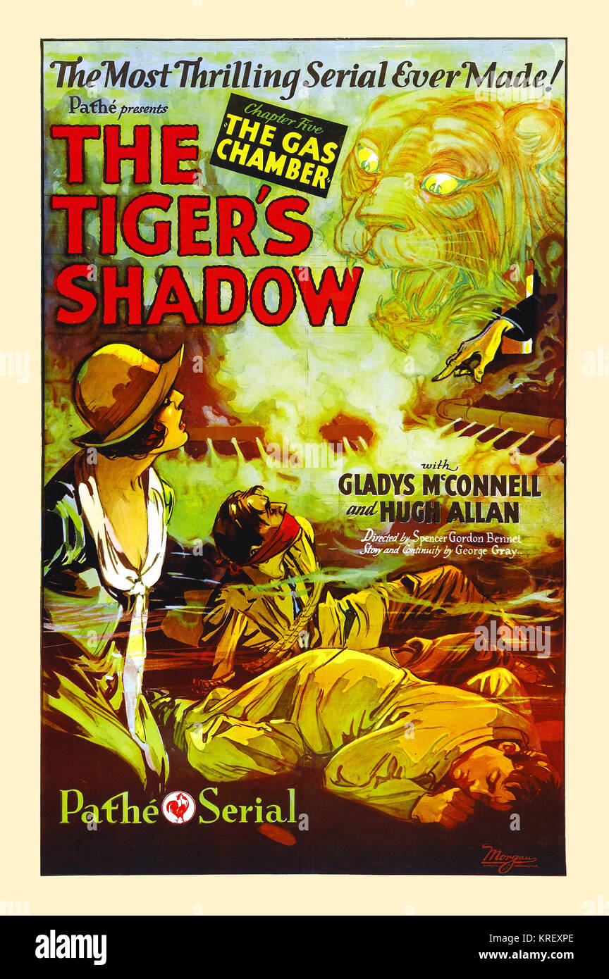 Der Tiger Schatten Stockfoto