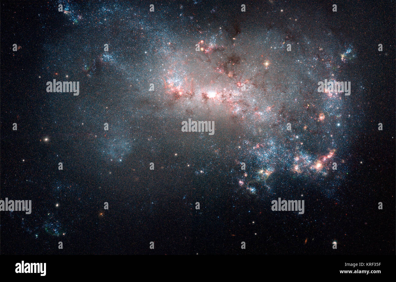 Starburst in NGC 4449 (durch das Hubble Space Telescope erfasst) Stockfoto