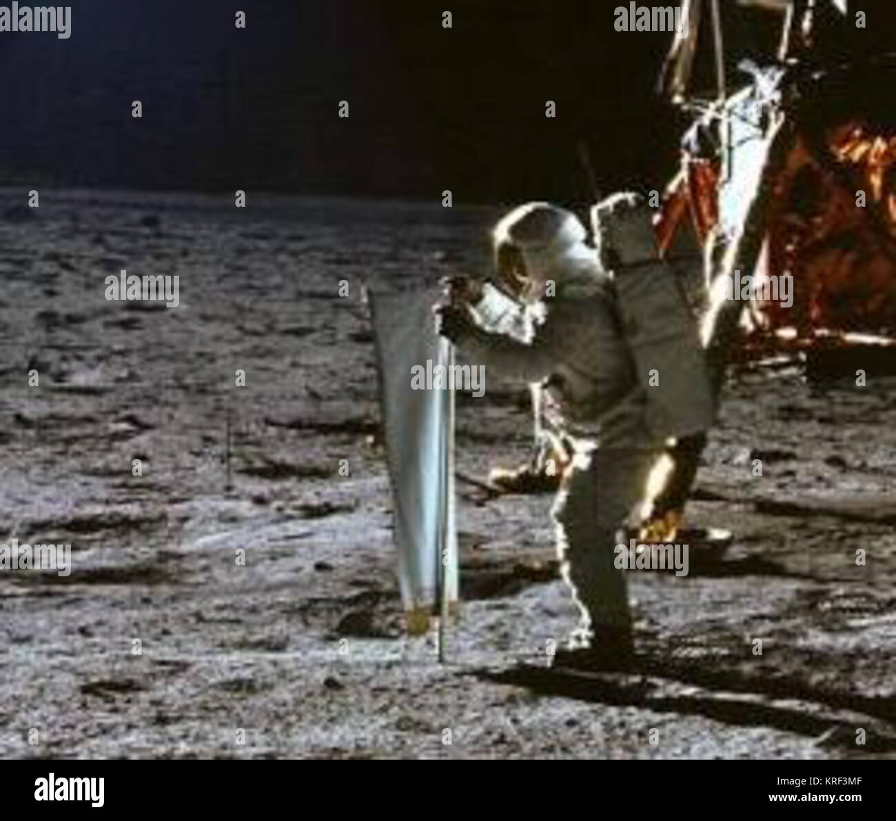 Sonnenwindsegel Erntegut Stockfoto