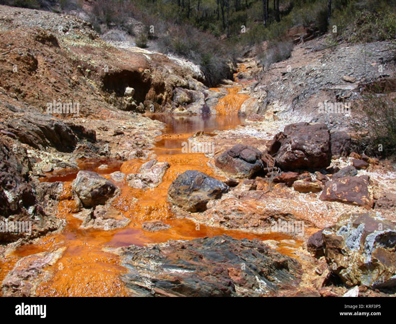 Rio Tinto fluss CarolStoker NASA Ames Research Center Stockfoto